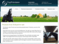 topfriesian.com