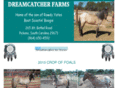 dreamcatcherfarms.net