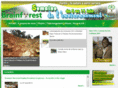 brain-forest.org