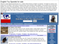 englishtoyspanielforsale.com