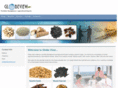 globeviewng.com