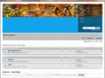 onlinegamer-forum.com