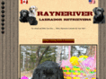rayneriverlabs.com