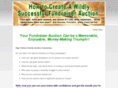 maximizeauctionfundraisers.com