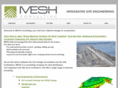 mesh-consulting.com
