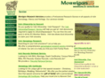 morrigan.com