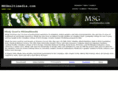 msgmultimedia.com