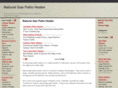 naturalgaspatioheater.org