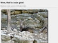 nicegoat.com