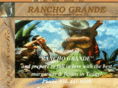 ranchograndeconroetx.com