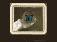 jetbutterfly.com