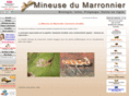 mineuse-marronnier.com