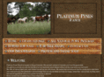 platinumpinesranch.com