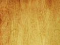 restaurant-web-design-newyork.com
