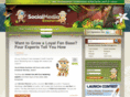 smexaminer.com