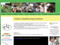 triplehequitherapy.com
