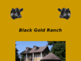 blackgoldranch.com