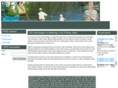 flyfishingvideo.net