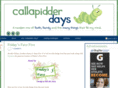 callapidderdays.com