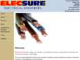 elecsure.net