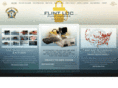 pumpalarms.com