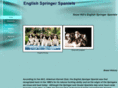 snowhillspringers.com