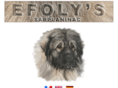 efolys.fr