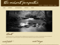 themidwestperspective.com
