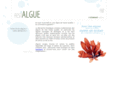bioalgue.com
