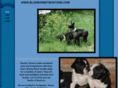 bluebonnetbostons.com