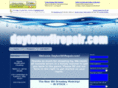 daytonwiirepair.com