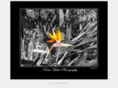 kamimaliaphotography.com