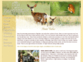 fawnskincabins.com