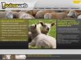 ovinoweb.com