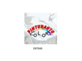 pinturautocolor.com
