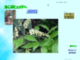 tikarakobu.com