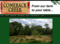 comebackcreek.com