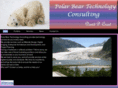 polarbeartechnologyconsulting.com
