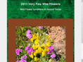 wildflowerstexas.org