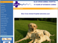 bcahonline.com