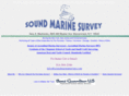 soundmarinesurvey.com