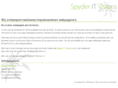 spyderitvisions.nl