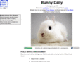 bunnydaily.com