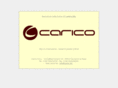 carico.biz