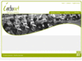 indunetsoluciones.com