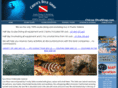puertovallartascuba.com