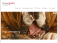 studerguldin.ch