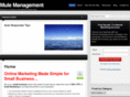 mulemanagement.com