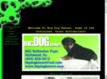 bigdogkennel.com