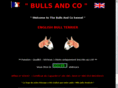 bullsandco.com